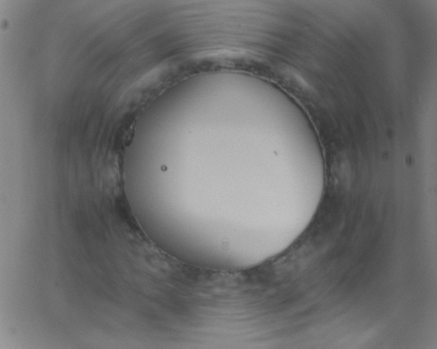 X0000067951062200604272054