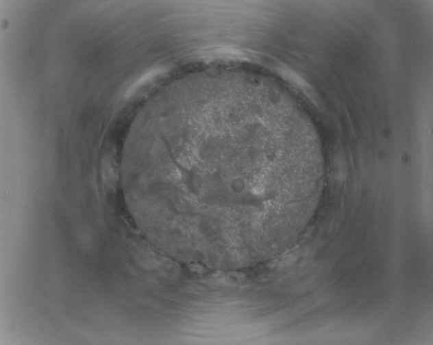 X0000067951063200604272054