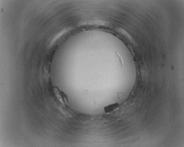 X0000067951064200604272054