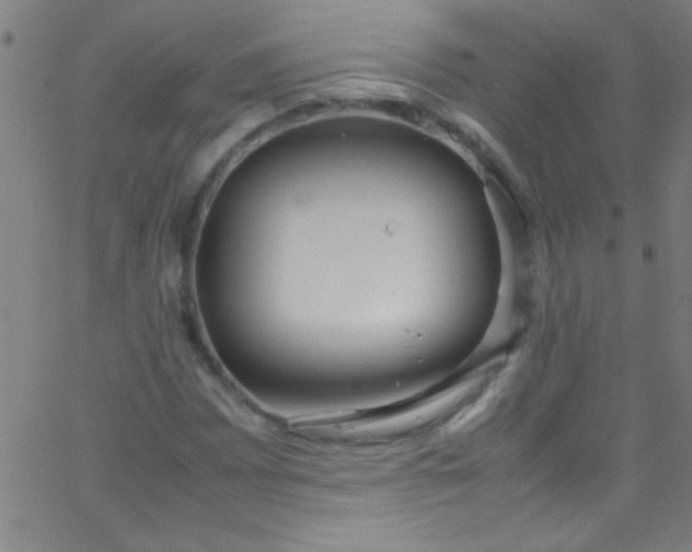 X0000067951065200604272054