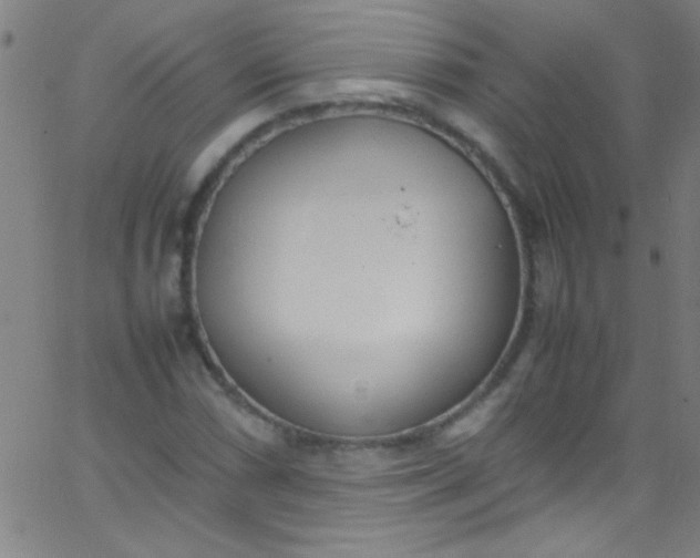 X0000067951066200604272054