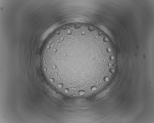 X0000067951067200604272053