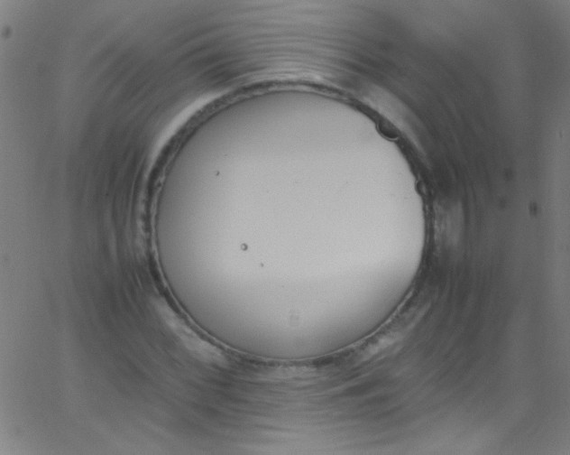 X0000067951068200604272053