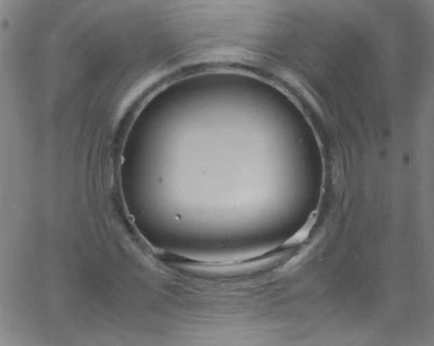 X0000067951069200604272053