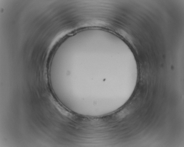 X0000067951072200604272053