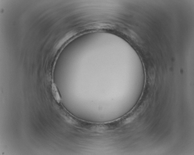 X0000067951073200604272053