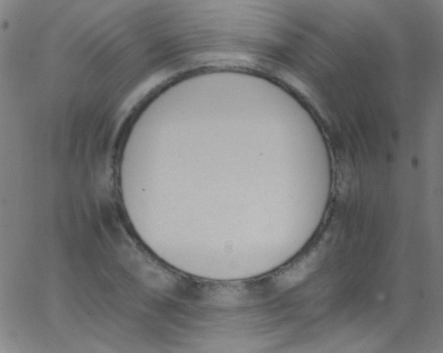 X0000067951074200604272053