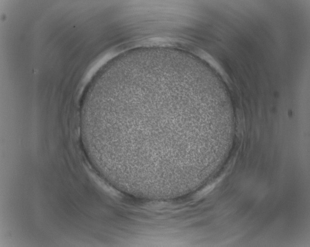 X0000067951075200604272053