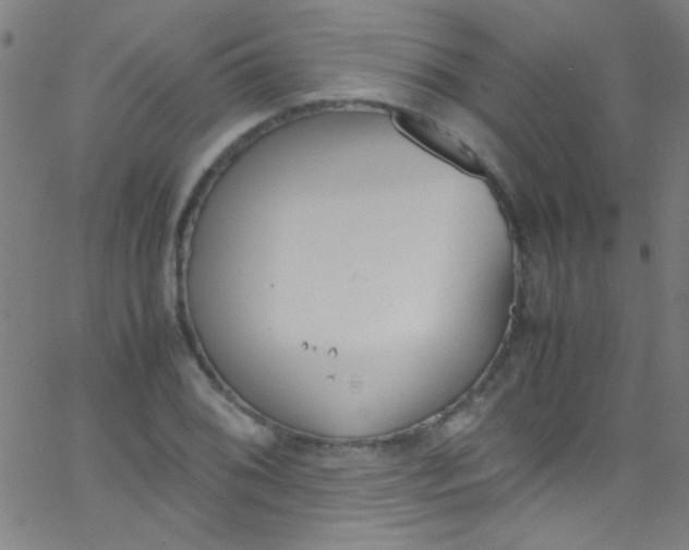 X0000067951076200604272053