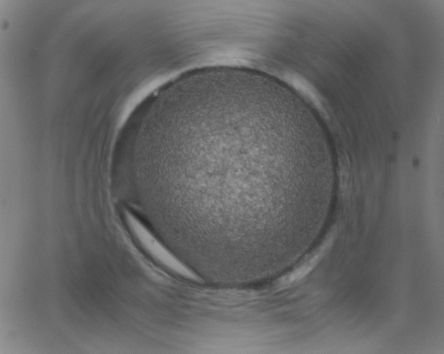 X0000067951077200604272053