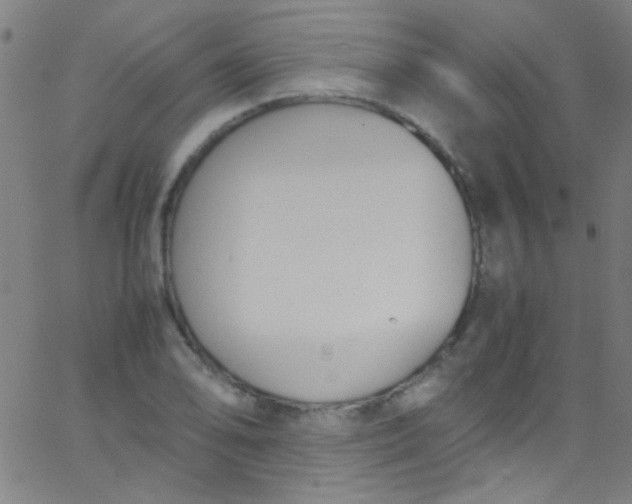 X0000067951078200604272053