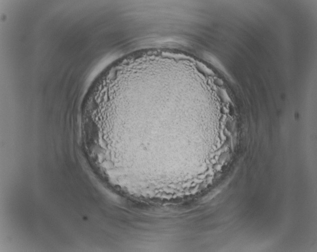 X0000067951079200604272053