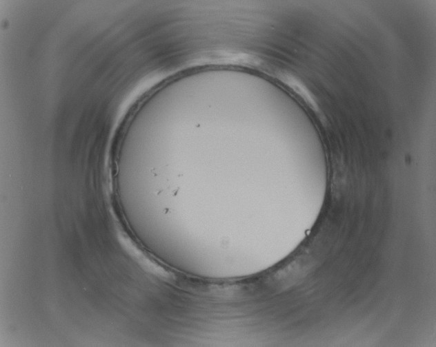 X0000067951080200604272053