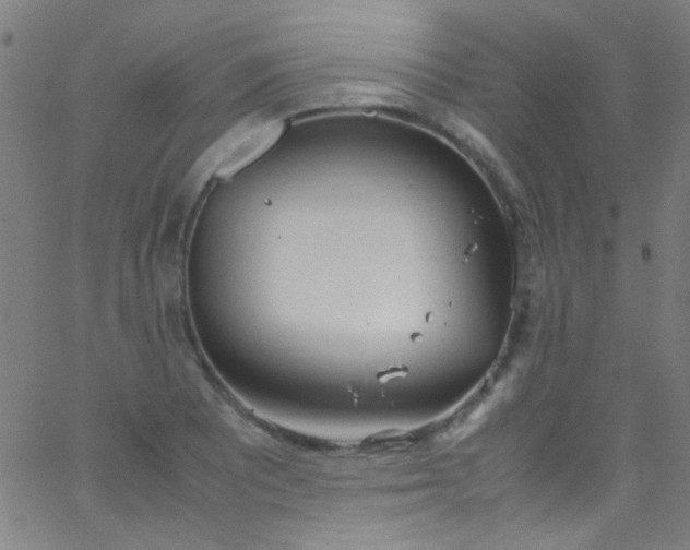 X0000067951081200604272053