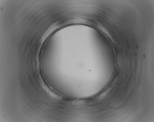 X0000067951082200604272053