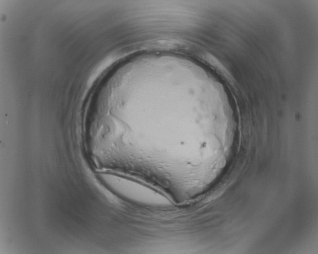 X0000067951083200604272053