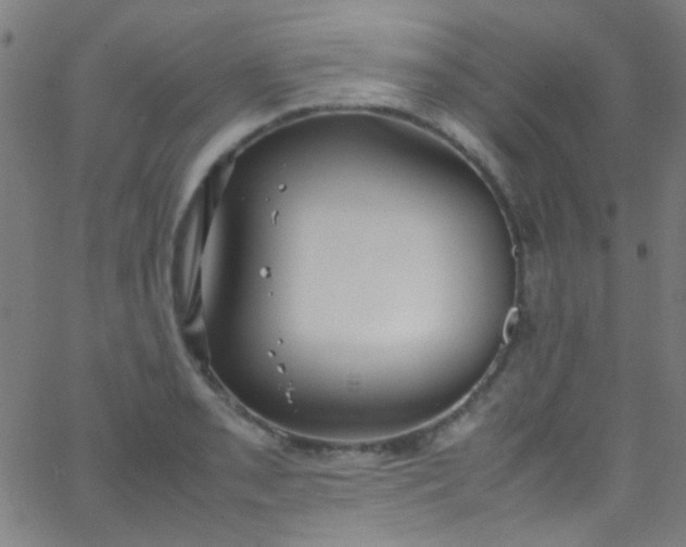 X0000067951085200604272053