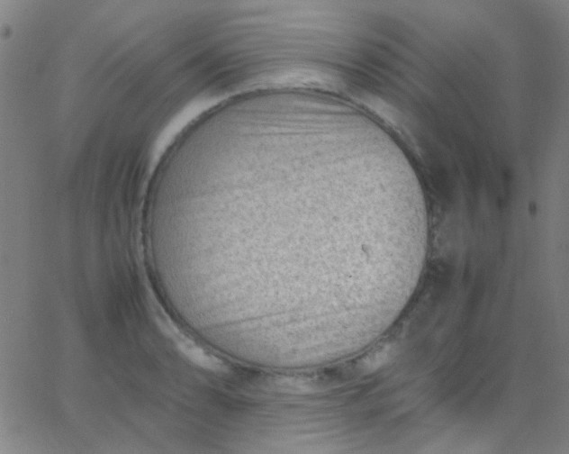 X0000067951086200604272053