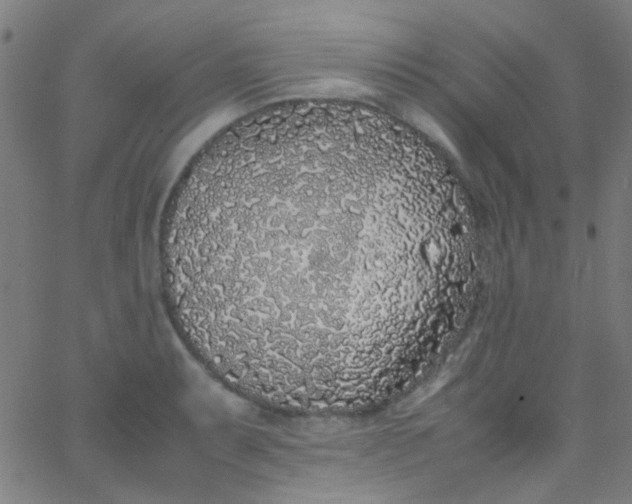 X0000067951087200604272053