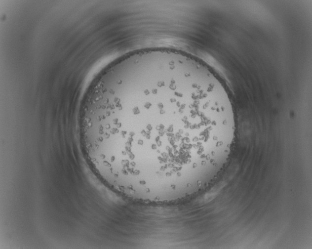 X0000067951088200604272053