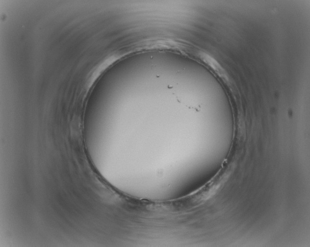 X0000067951089200604272053