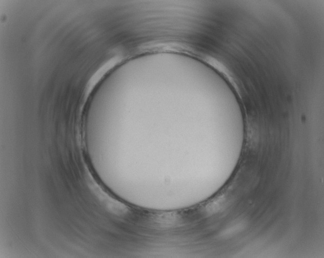 X0000067951090200604272053