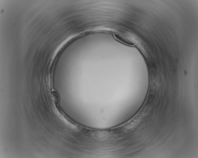 X0000067951092200604272053