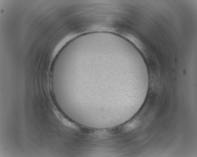 X0000067951094200604272053