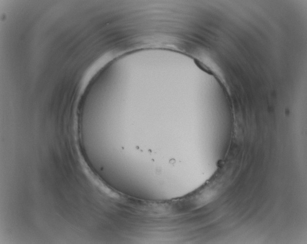 X0000067951096200604272053