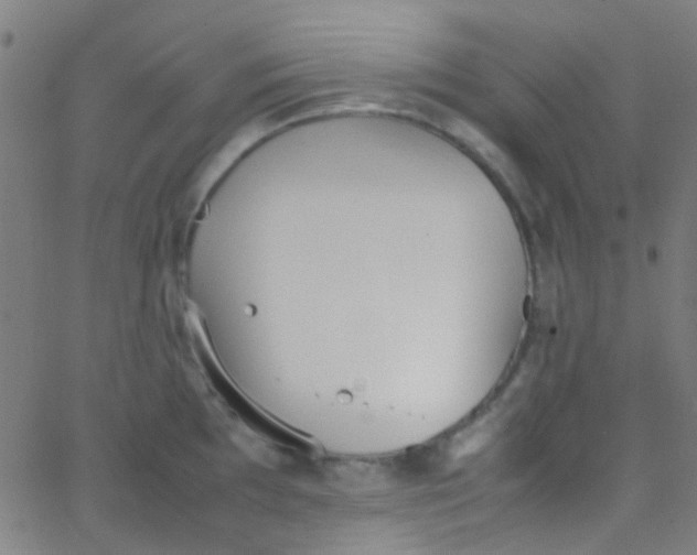 X0000067951097200604272053