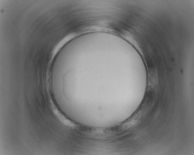 X0000067951098200604272053