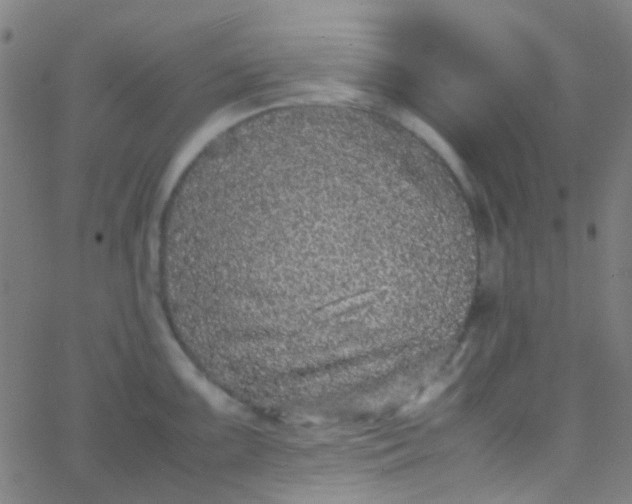 X0000067951099200604272053