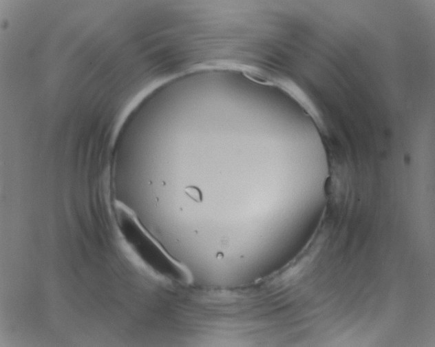 X0000067951100200604272053