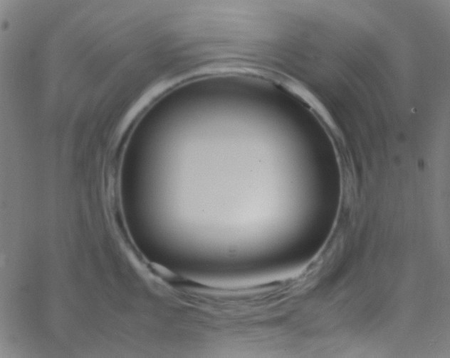 X0000067951101200604272053