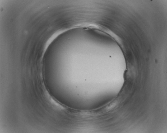 X0000067951102200604272053