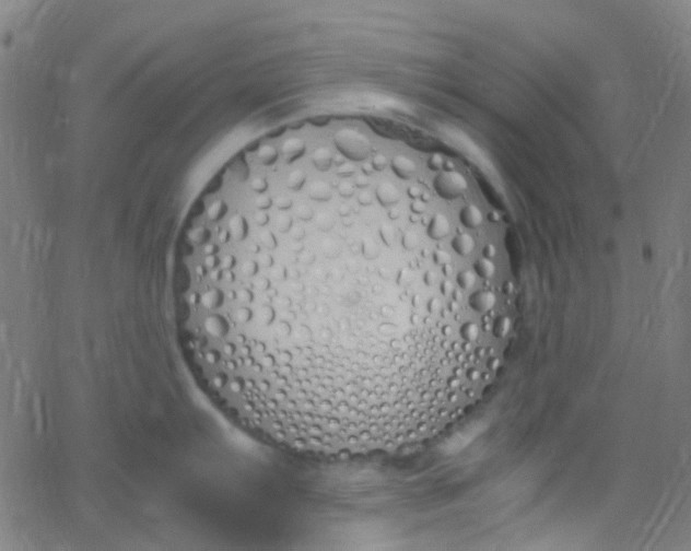 X0000067951103200604272053