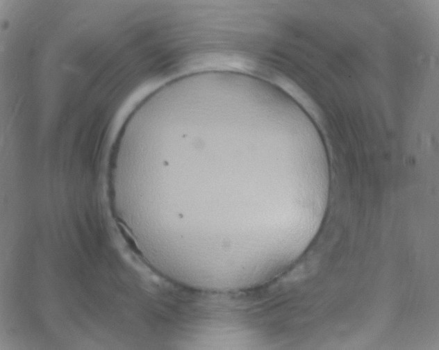 X0000067951104200604272053