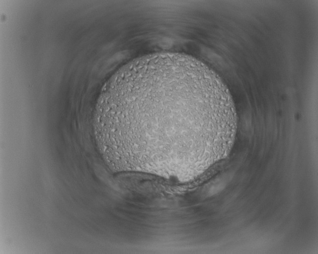 X0000067951105200604272052