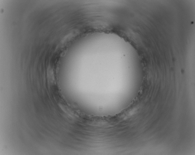 X0000067951106200604272052