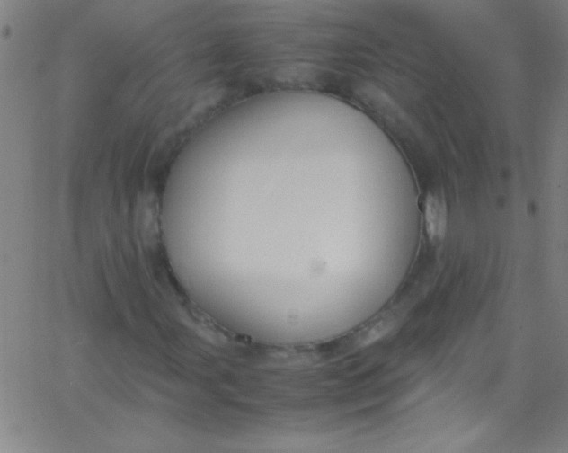 X0000067951107200604272052