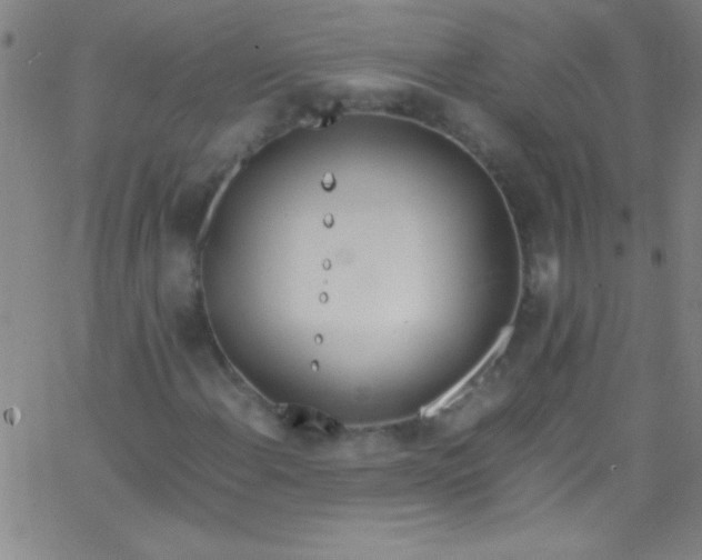 X0000067951108200604272052