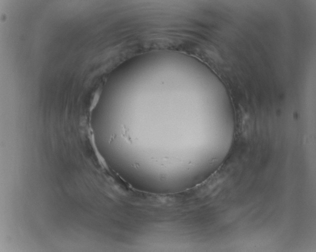 X0000067951109200604272052