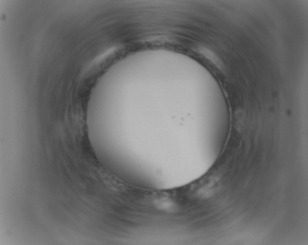 X0000067951111200604272052