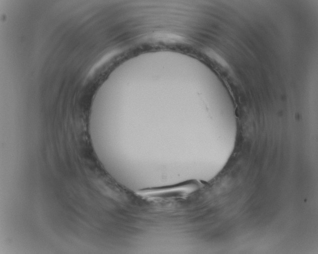 X0000067951112200604272052