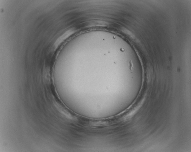 X0000067951113200604272052