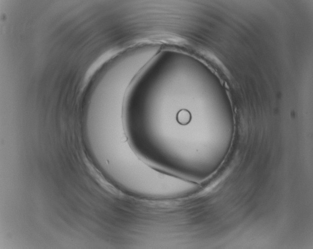 X0000067951114200604272052