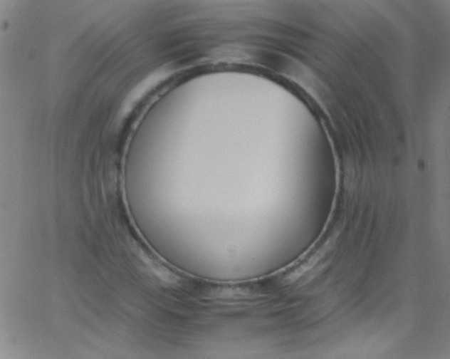 X0000067951115200604272052