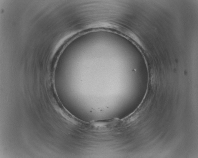 X0000067951116200604272052