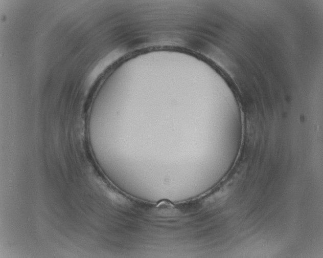 X0000067951119200604272052