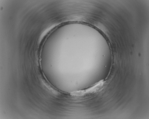 X0000067951120200604272052